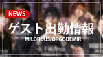 【MILDROUS/ORGODEMIR】2月ゲスト出勤特集!!