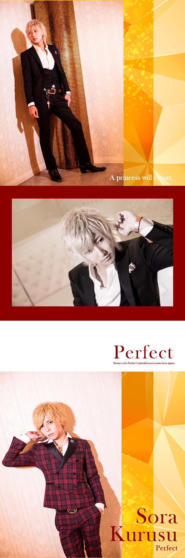 大阪ホストクラブ Perfect