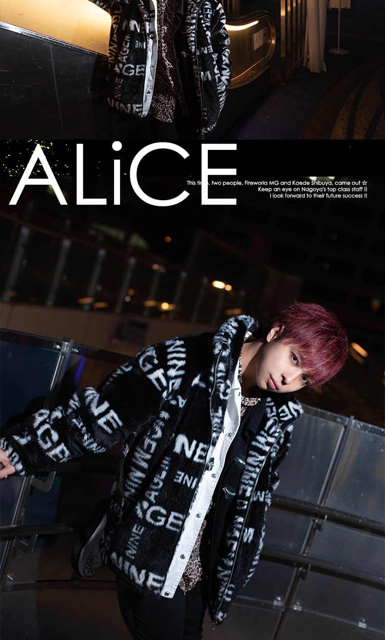 ランキング常連組☆「ALiCE」イチ押しホストが登場!!
