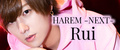 歌舞伎町ホストクラブ HAREM -NEXT- Rui