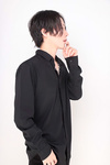 ARTEMIS 鋼牙