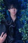 BEAST 結雪