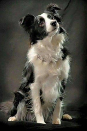 鳴海 雨音 OZONE -players club- 歌舞伎町