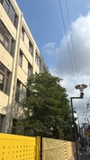 空-SORA osaka-