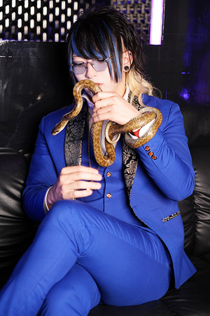 FLEX 蒼