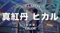 CALOR 真紅丹 ヒカル SHORT MOVIE