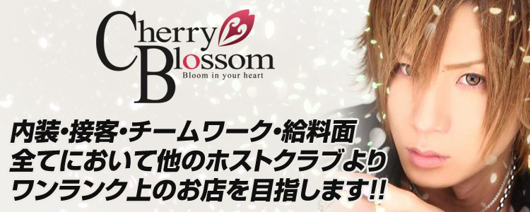 歌舞伎町 ホストクラブ cherry blossom チェリーブロッサム