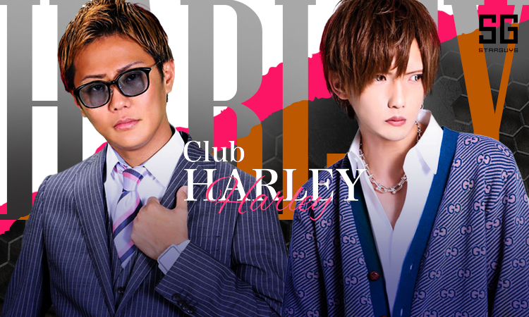 歌舞伎町 ホストクラブ HARLEY ハーレー