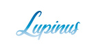 Lupinus 【ルピナス】