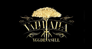 歌舞伎町 ホストクラブ VALHALLA ヴァルハラ